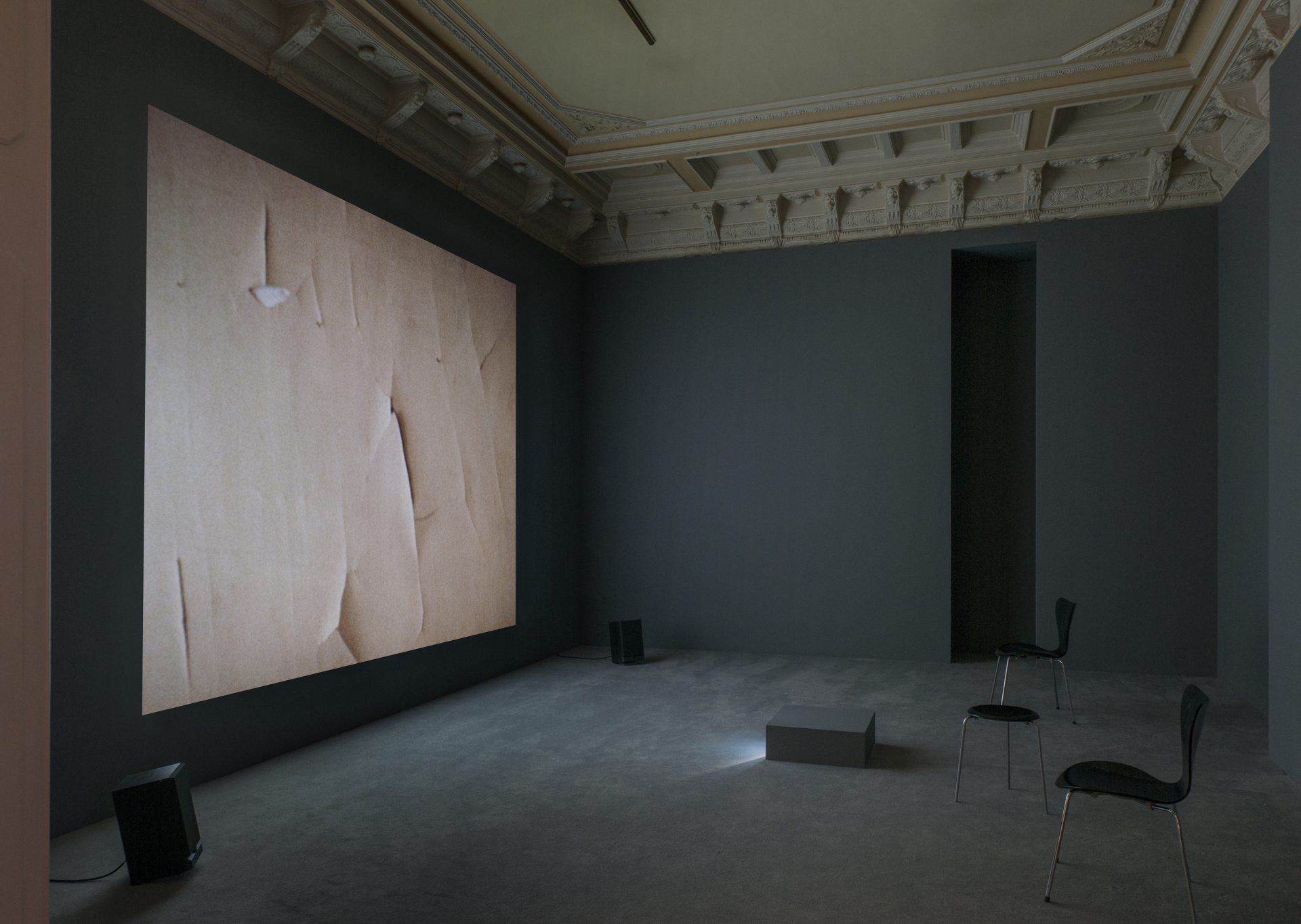 Manon de Boer, installation view at Jan Mot 2015