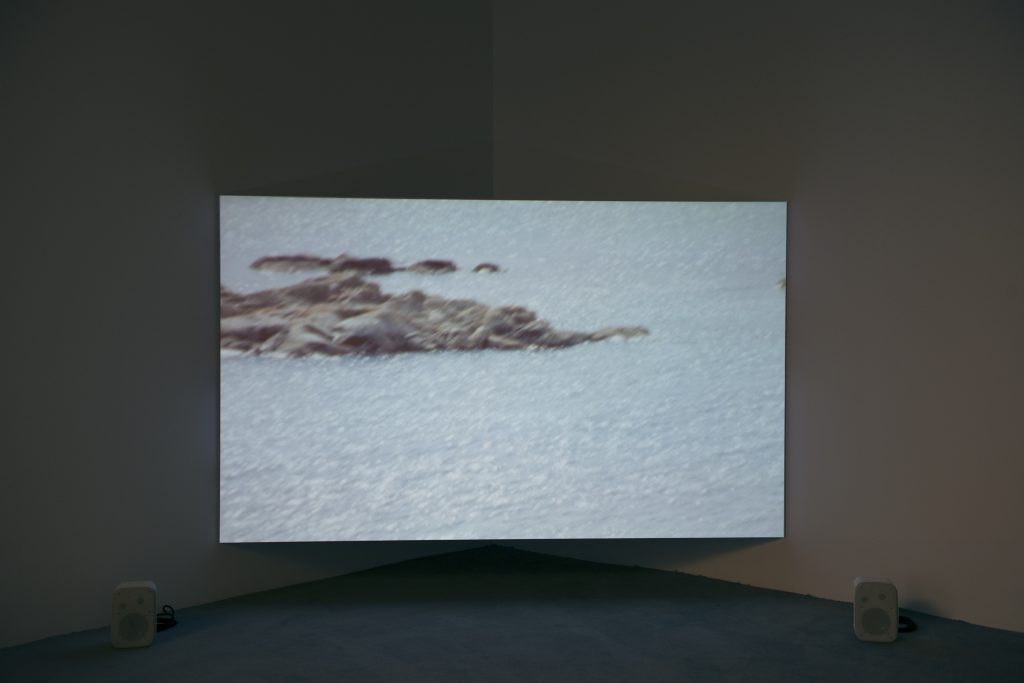 Manon de Boer, installation view at Jan Mot, 2016